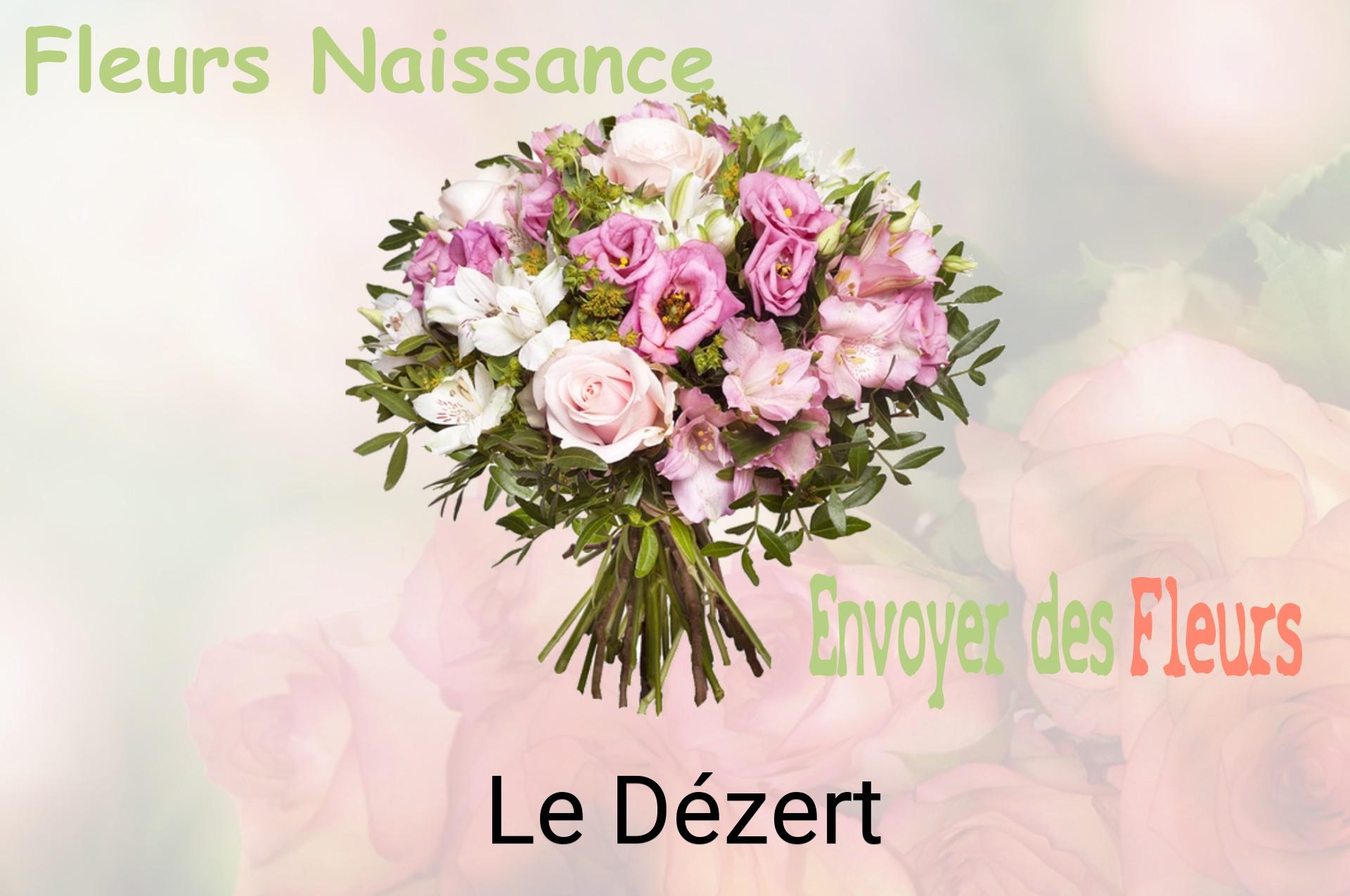 Bouquet de fleurs de naissance livré à Le Dézert